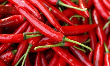 Can spicy foods curb salt cravings or lower blood pressure?