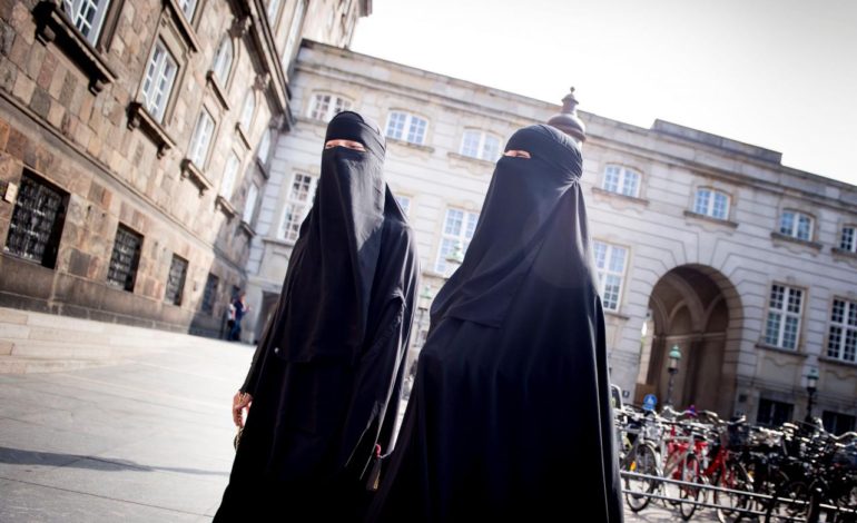 Danish parliament bans wearing face veils in public