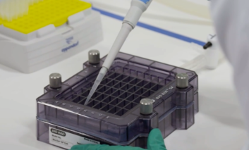 Wayne County anticipates delivery of COVID-19 vaccines in few days