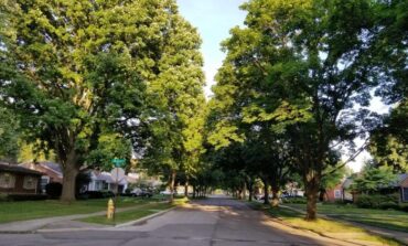 Dearborn continues tradition of being Tree City, USA