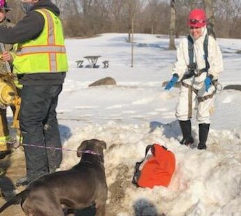 Dearborn Heights Fire Department, animal control and sewer workers work together to save a dog’s life