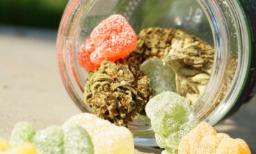 Health experts warn parents about dangers to children of edibles containing marijuana