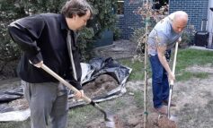 Dearborn Heights libraries honor deceased staff members with commemorative tree planting