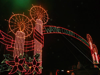 Wayne County Parks Lightfest 2008