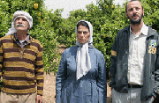 FILM REVIEW: Lemon Tree