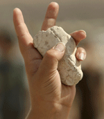 Book casts new light on Palestine’s ethnic cleansing