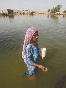 PAKISTAN sinking in despair