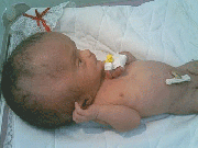 New study from Ann Arbor toxicologist links Fallujah birth defects to U.S. weapons