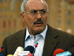 Yemeni Americans scorn Saleh deal, angry at U.S. refuge