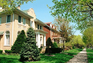 Dearborn residents can order  trees through city program