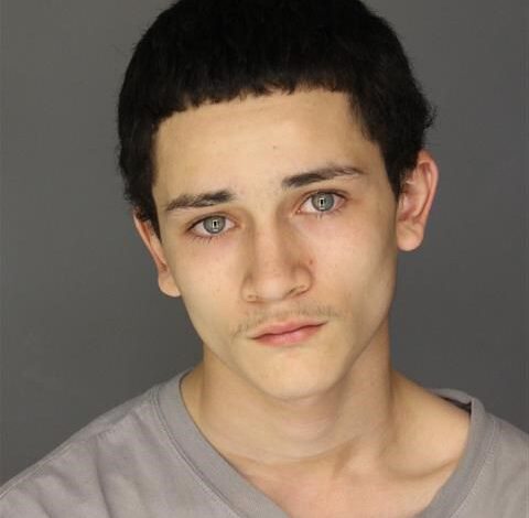 Dearborn armed robbery suspect in police custody