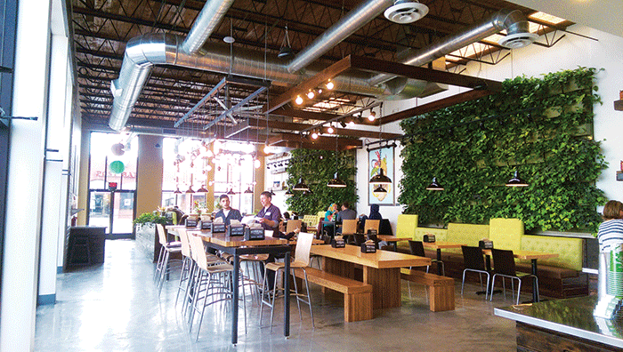 New restaurant brings organic burgers to Dearborn