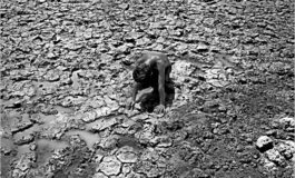 Iraq's great rivers are dying as government struggles to fix failing infrastructure