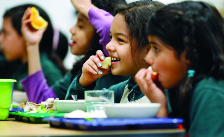 Addressing children’s nutritional health