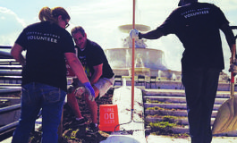 Belle Isle shines as park attendance skyrockets