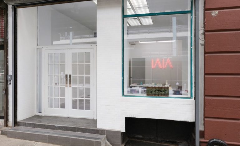 First Institute of Arab and Islamic Art opens in New York