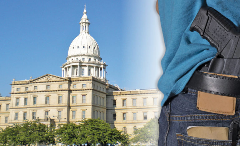 State Senate OKs carrying concealed weapons in houses of worship, schools