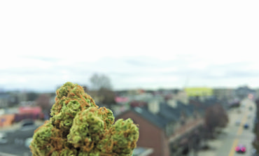 Michigan voters will decide whether to legalize recreational marijuana next year