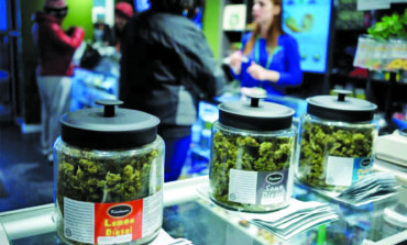 Survey finds voters support recreational marijuana proposal, split on gerrymandering