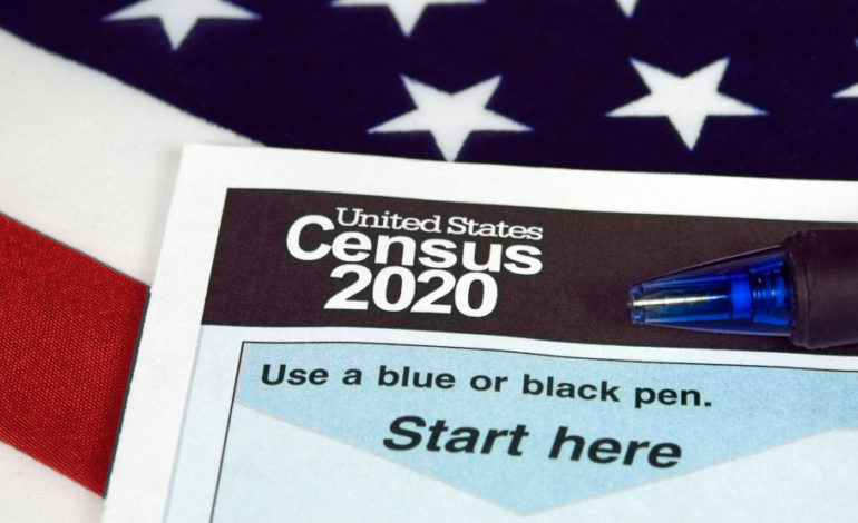 How could the citizenship question on 2020 Census impact Dearborn?