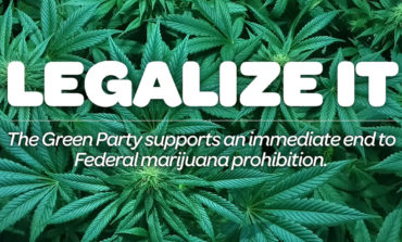Green Party of Michigan endorses proposal for marijuana legalization