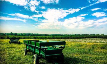 How do residents in the Metro area celebrate Earth Day?