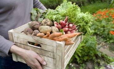 Could a better diet cool your Inflammation? Avoid these five food groups