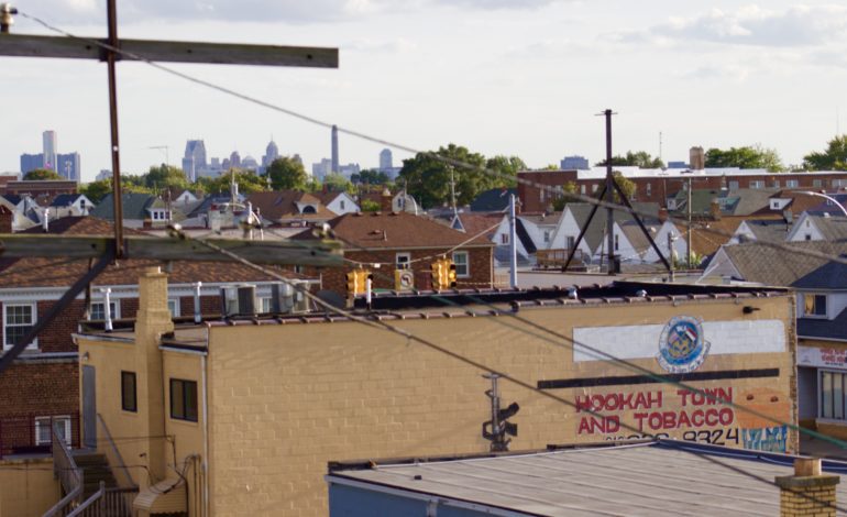 Meet the candidates for this year’s Hamtramck City Council election