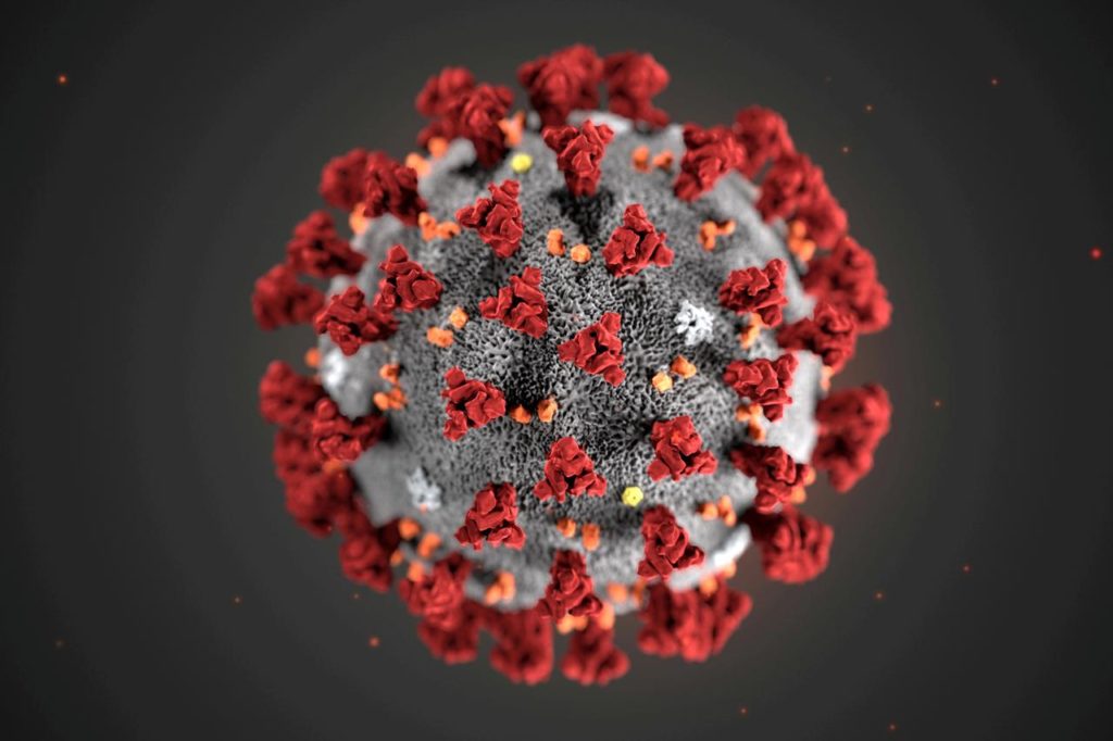 he ultrastructural morphology exhibited by the 2019 Novel Coronavirus (2019-nCoV), which was identified as the cause of an outbreak of respiratory illness first detected in Wuhan, China, is seen in an illustration released by the Centers for Disease Control and Prevention (CDC) in Atlanta, Georgia, U.S. January 29, 2020.