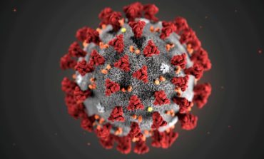 China to run human coronavirus vaccine trial in UAE