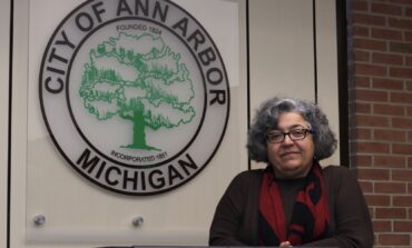 Pro IDF group goes on the attack against Ann Arbor City Council candidate Dr. Mozhgan Savabieasfahani