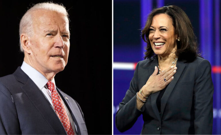 Joe Biden picks Kamala Harris as running mate