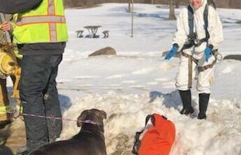 Dearborn Heights Fire Department, animal control and sewer workers work together to save a dog’s life