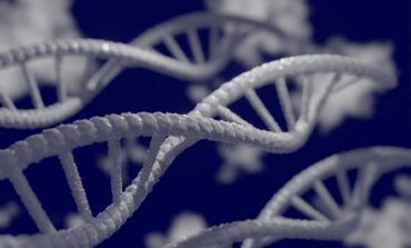 Genome study reveals Arab specific genetic risks 