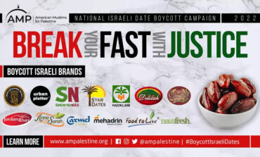 Organizations call for Ramadan boycott of Israeli dates grown and packaged in illegal settlements
