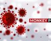 First monkeypox case found in Michigan, but officials say public at low risk